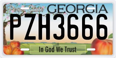 GA license plate PZH3666