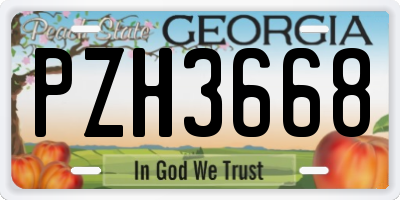 GA license plate PZH3668