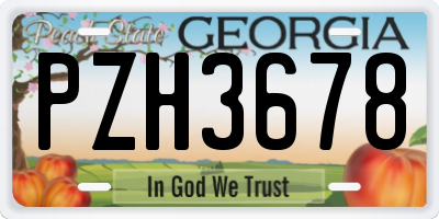 GA license plate PZH3678