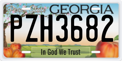 GA license plate PZH3682