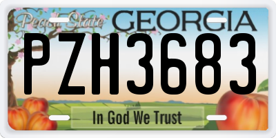 GA license plate PZH3683