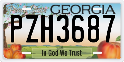 GA license plate PZH3687