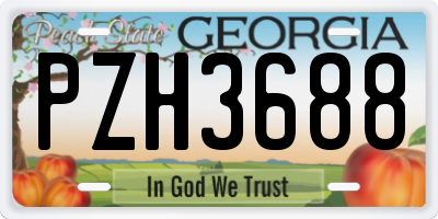 GA license plate PZH3688