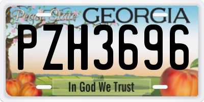 GA license plate PZH3696