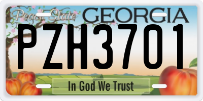 GA license plate PZH3701