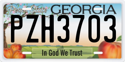 GA license plate PZH3703