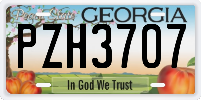 GA license plate PZH3707