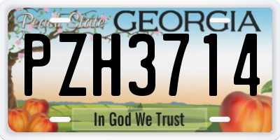 GA license plate PZH3714
