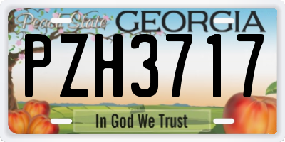 GA license plate PZH3717