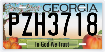 GA license plate PZH3718