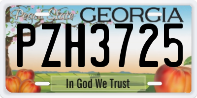 GA license plate PZH3725