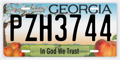 GA license plate PZH3744