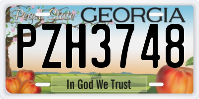 GA license plate PZH3748