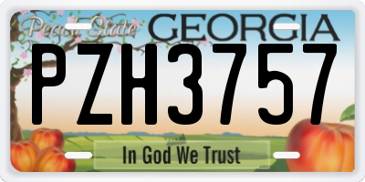 GA license plate PZH3757