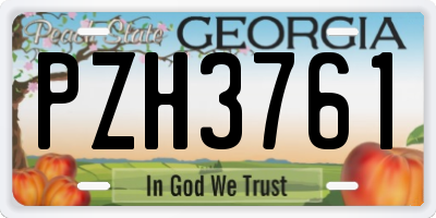 GA license plate PZH3761