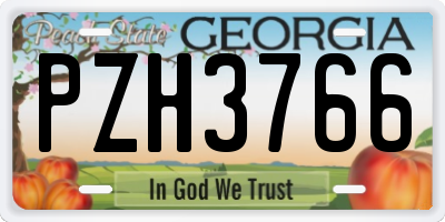GA license plate PZH3766