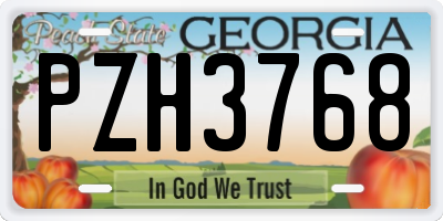 GA license plate PZH3768