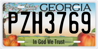 GA license plate PZH3769