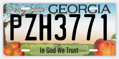 GA license plate PZH3771