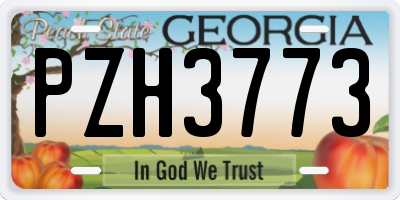 GA license plate PZH3773