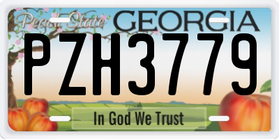 GA license plate PZH3779