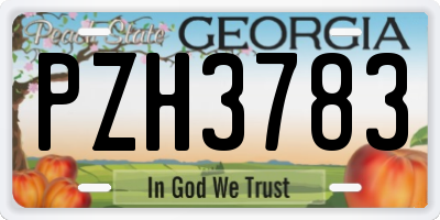 GA license plate PZH3783