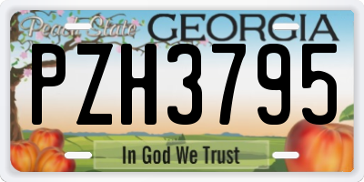 GA license plate PZH3795
