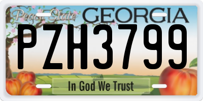 GA license plate PZH3799