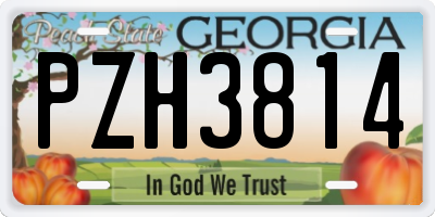 GA license plate PZH3814