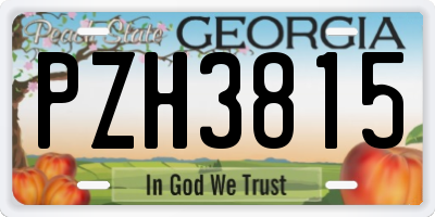 GA license plate PZH3815