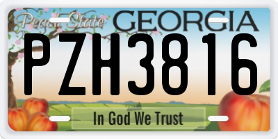GA license plate PZH3816