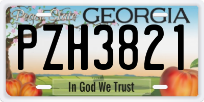 GA license plate PZH3821