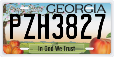 GA license plate PZH3827