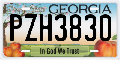 GA license plate PZH3830