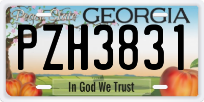 GA license plate PZH3831