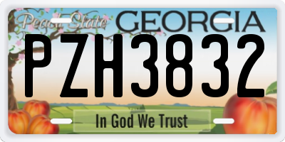 GA license plate PZH3832