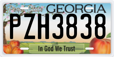 GA license plate PZH3838