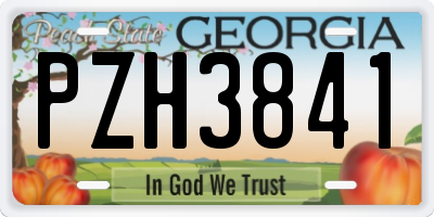 GA license plate PZH3841