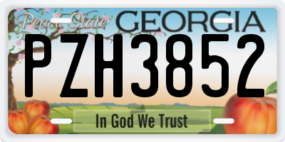 GA license plate PZH3852