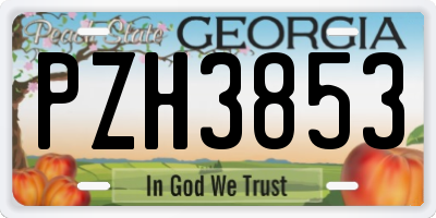 GA license plate PZH3853