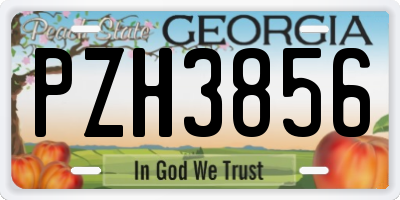 GA license plate PZH3856