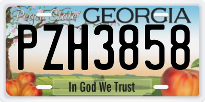 GA license plate PZH3858