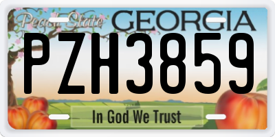 GA license plate PZH3859