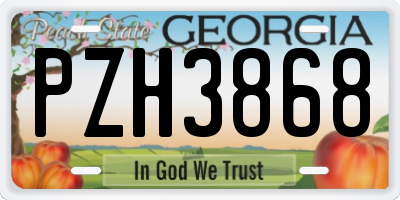 GA license plate PZH3868