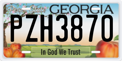 GA license plate PZH3870