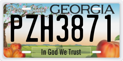 GA license plate PZH3871