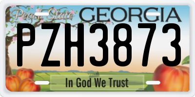 GA license plate PZH3873
