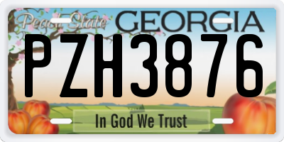 GA license plate PZH3876