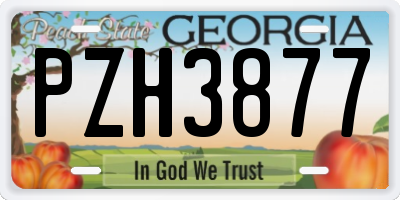 GA license plate PZH3877
