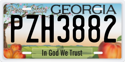 GA license plate PZH3882